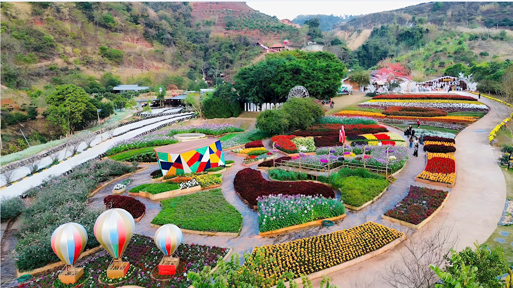 Happy Land 